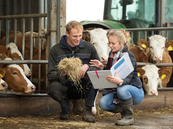 Dier in de Duurzame Samenleving (Dier- en Veehouderij) voltijd - Hbo
