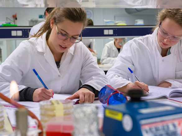 Inholland Biologie En Medisch Laboratoriumonderzoek