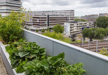 Leven in de Metropool