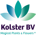Kolster Kolster