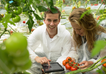 Integrale Voedsel- en Productieketens