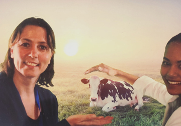 Voedselfamilies Zuid-Holland