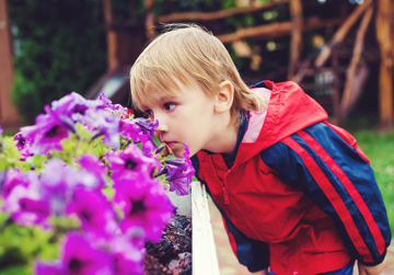 Geurstoffen in Petunia