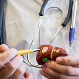 Leverlaesies nader onderzoeken met CEUS