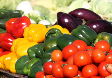 Transitie naar een duurzaam voedselsysteem (NWA)