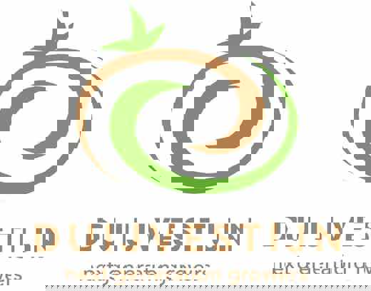 Duijvestijn tomaten (1) Duijvestijn tomaten (1)