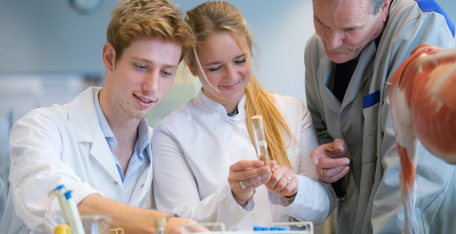 5 redenen om bij ons te willen werken: