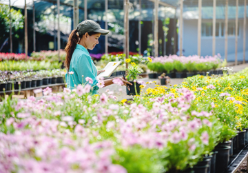 Monitoring- en Evaluatieprogramma Innovatie Ecosysteem Greenport West-Holland