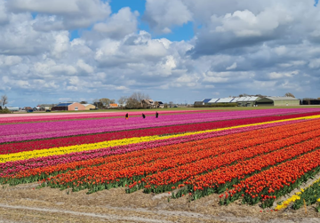 Smart Farming Bollen