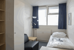 Louis Couperuslaan - room