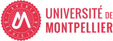 UNIVERSITE DE MONTPELLIER UNIVERSITE DE MONTPELLIER