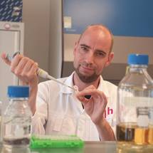 Paulus den Hollander