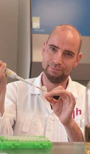 Paulus den Hollander