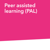 Peer assisted learning (PAL)