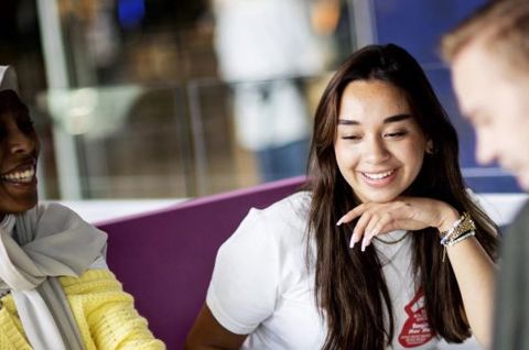 Studenten volgen een hbo-bachelor aan Hogeschool Inholland