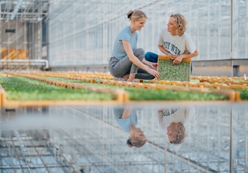 Weerbaar telen in de groene vingers