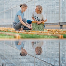 Weerbaar telen in de groene vingers