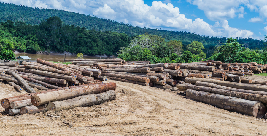 Herstel van Indonesische eiland Kalimantan