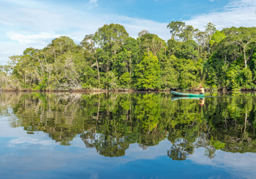 Duurzaam Bosbeheer in Suriname