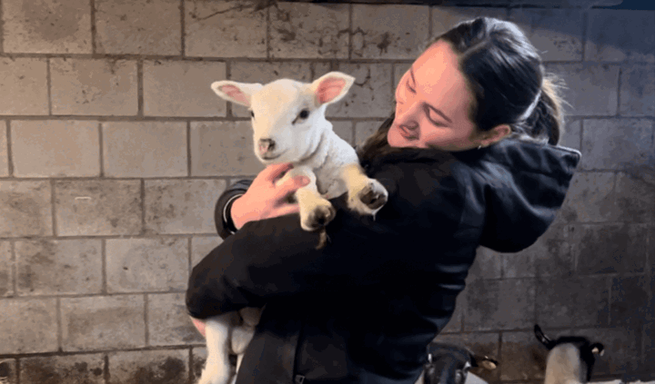 Student Mila tijdens haar stage bij Dierenartspraktijk Animal Coach