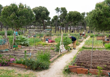 Ecosociaal welzijn: werkzame factoren in ecosociale praktijken