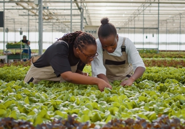 Levende Teeltsystemen