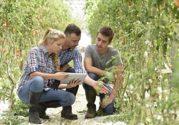 Beroepen in Transitie in de Greenport West-Holland