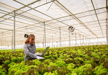 Missiegedreven innovatie via duurzame ondernemer-ecosystemen (ESMEE)