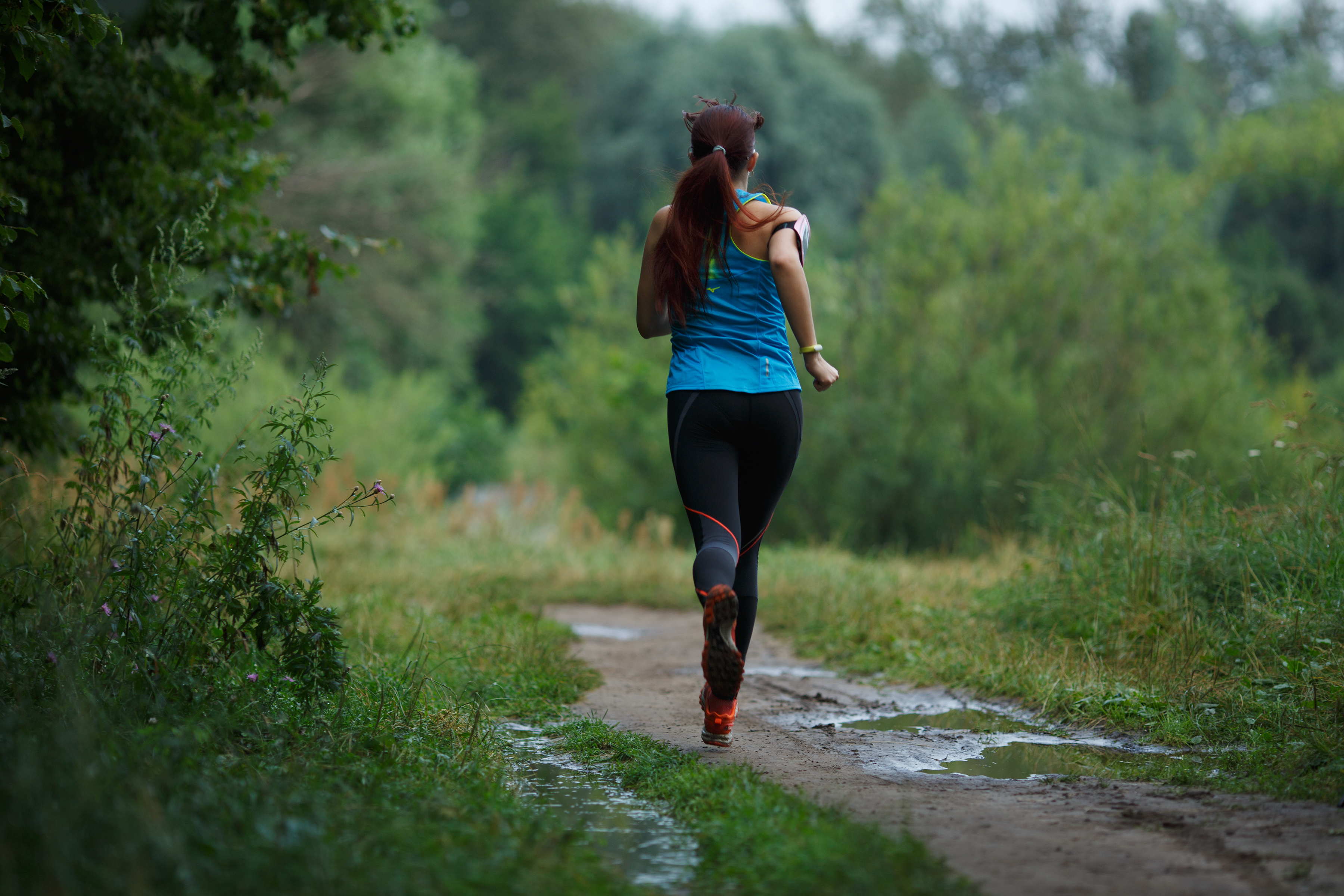 Online and Offline Behavior Change Techniques to Promote a Healthy Lifestyle