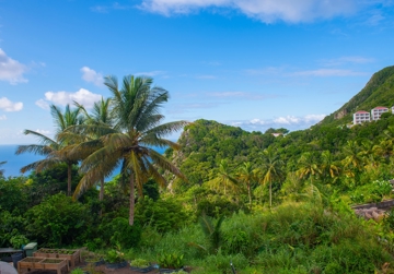 Food Resilient Futures Dutch Caribbean