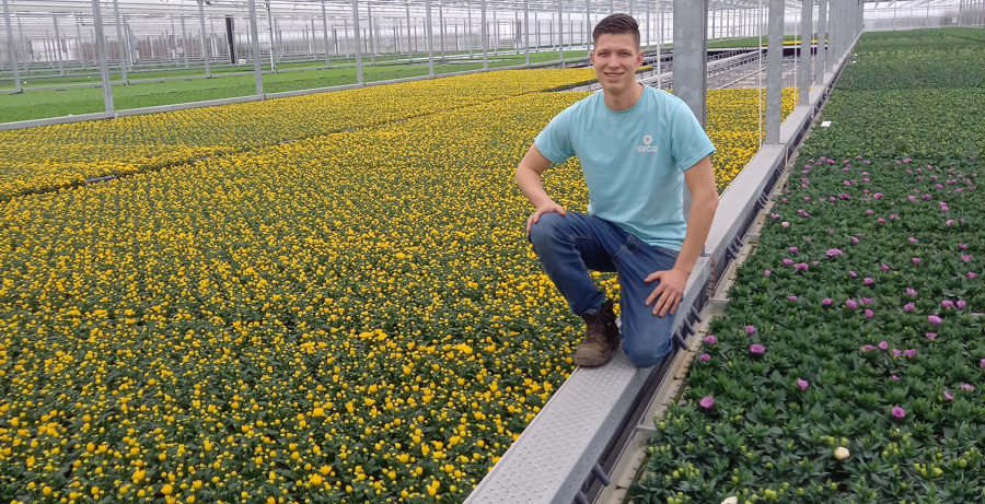 Ervaring met de opleiding Associate degree Tuinbouwmanagement