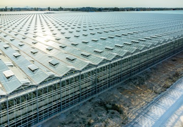 Het Nieuwe Telen, gas erop!