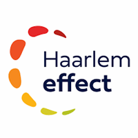 Haarlem Effect (1)