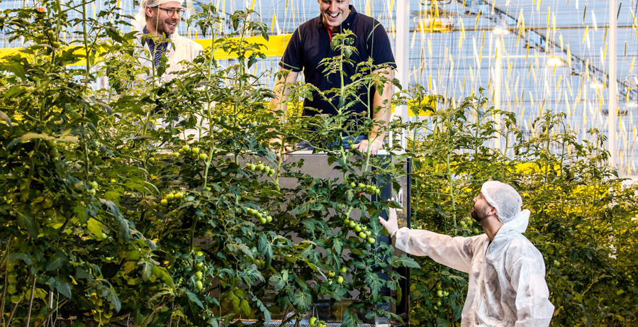 Wat je moet weten over Tuinbouw & Agribusiness deeltijd
