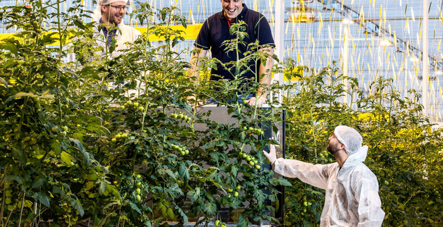 Wat je moet weten over Tuinbouw & Agribusiness deeltijd