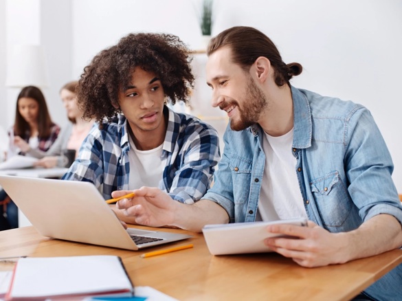 Professionele Ontwikkeling