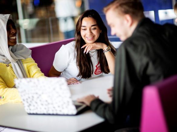 Studenten die voltijd studeren werken samen aan een project.
