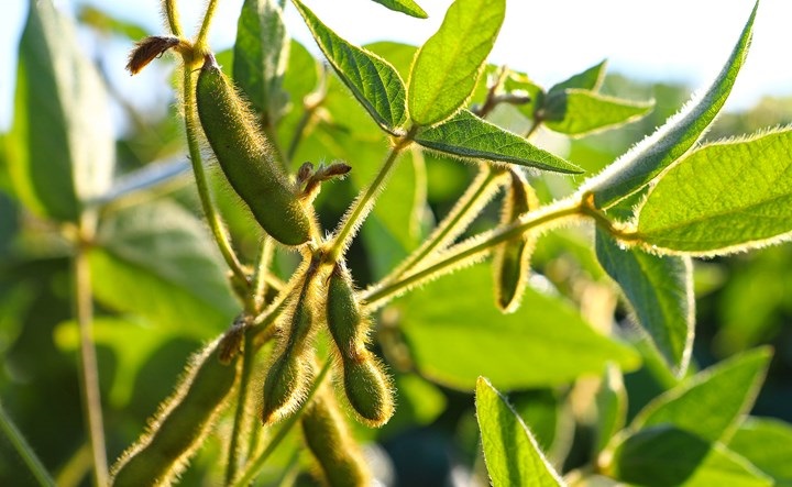 Header